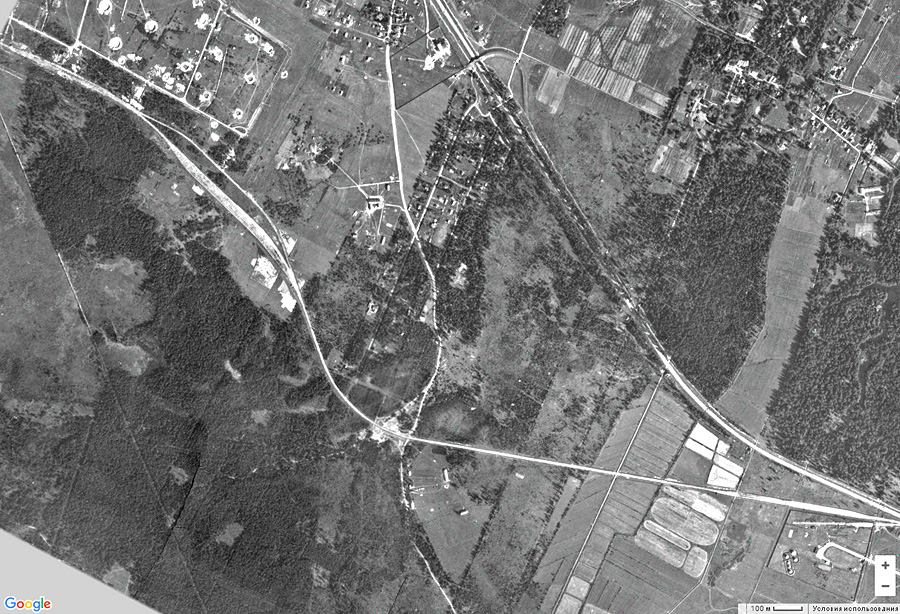 Мартышкино, аэроснимок 1939 года