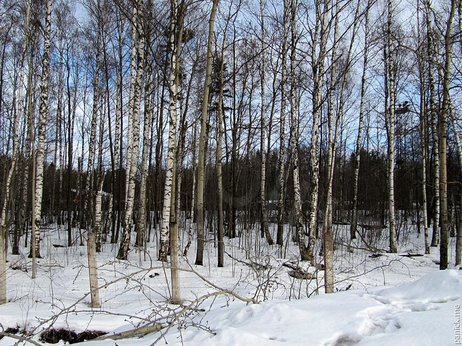 Мартышкино, склад ГСМ