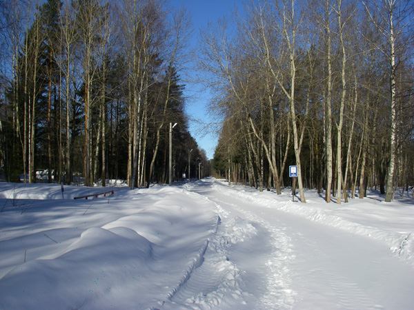 Мартышкино, склад ГСМ