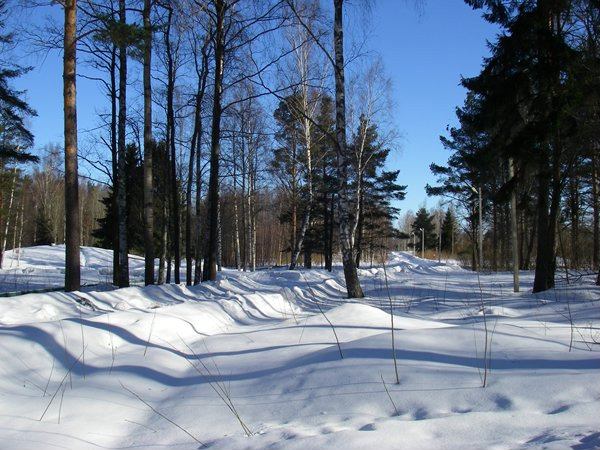 Мартышкино, склад ГСМ