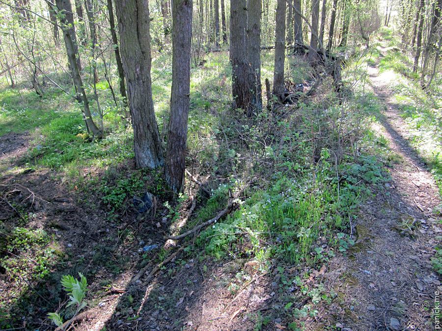 Мартышкино/Ораниенбаум, мишенное поле Мартышкино/Ораниенбаум, мишенное поле