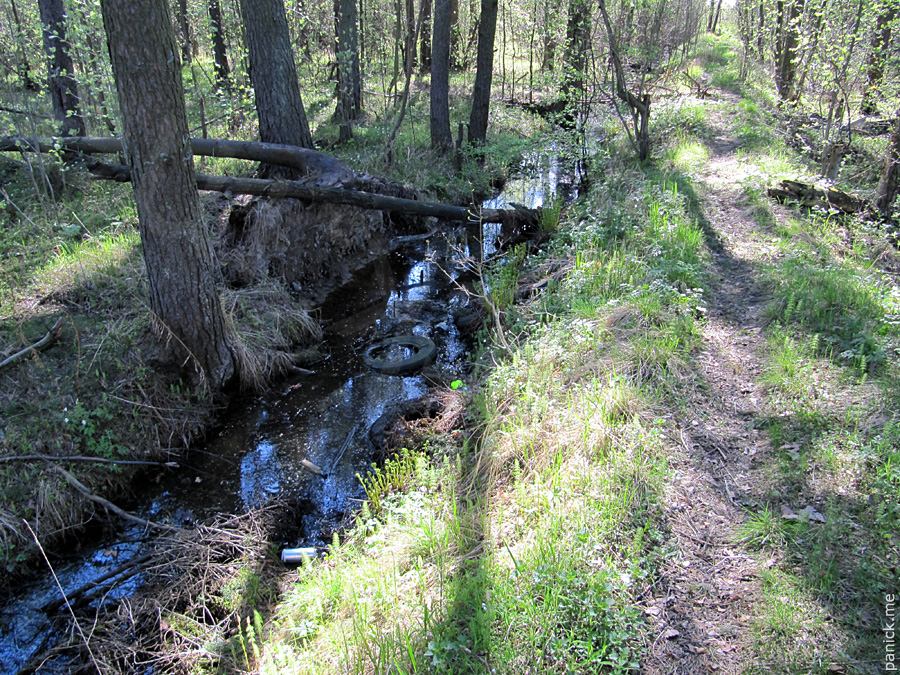 Мартышкино/Ораниенбаум, мишенное поле