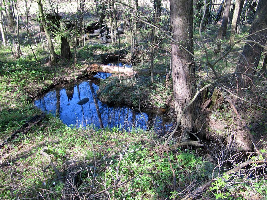 Мартышкино/Ораниенбаум, мишенное поле
