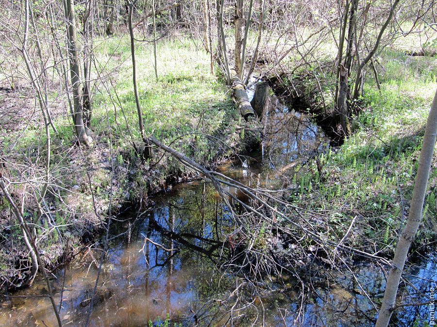 Мартышкино/Ораниенбаум, мишенное поле