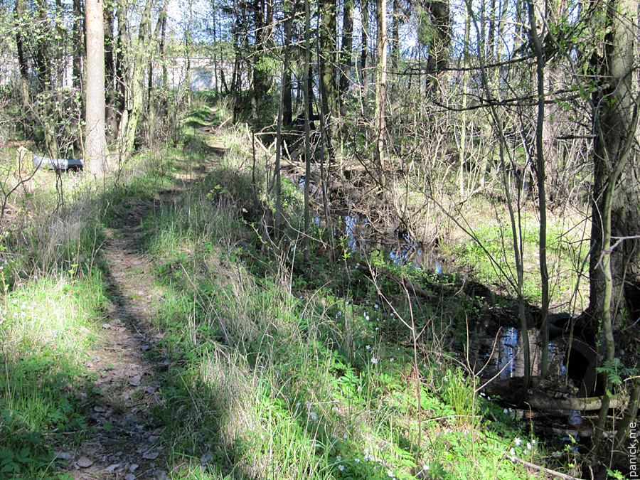 Мартышкино/Ораниенбаум, мишенное поле