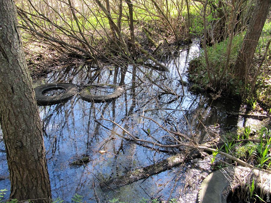 Мартышкино/Ораниенбаум, мишенное поле Мартышкино/Ораниенбаум, мишенное поле