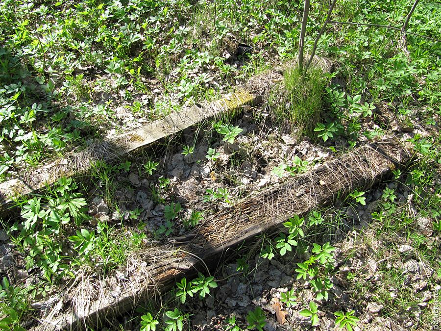 Мартышкино/Ораниенбаум, мишенное поле