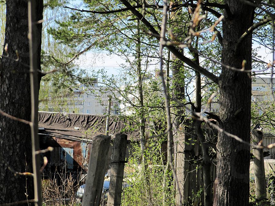 Мартышкино/Ораниенбаум, мишенное поле Мартышкино/Ораниенбаум, мишенное поле