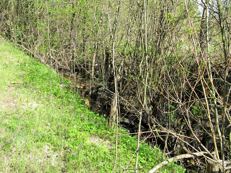 Мартышкино/Ораниенбаум, мишенное поле Мартышкино/Ораниенбаум, мишенное поле