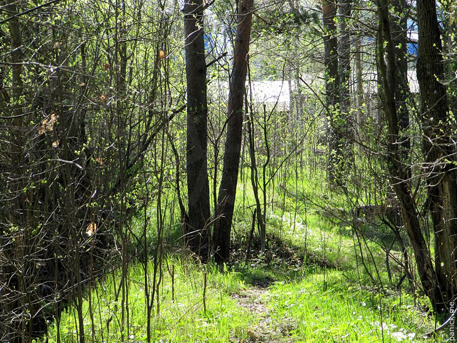 Мартышкино/Ораниенбаум, мишенное поле