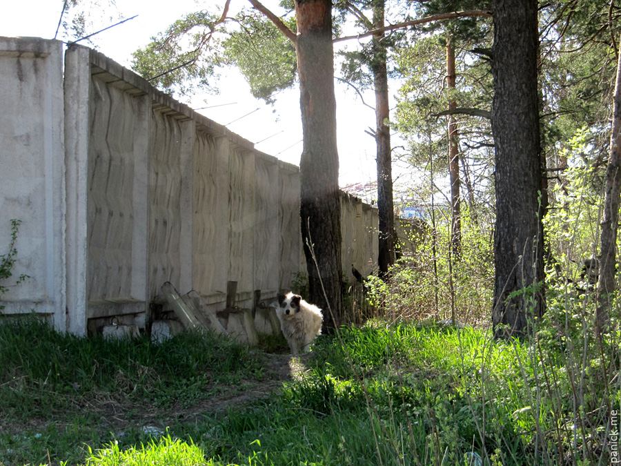 Мартышкино/Ораниенбаум, мишенное поле Мартышкино/Ораниенбаум, мишенное поле