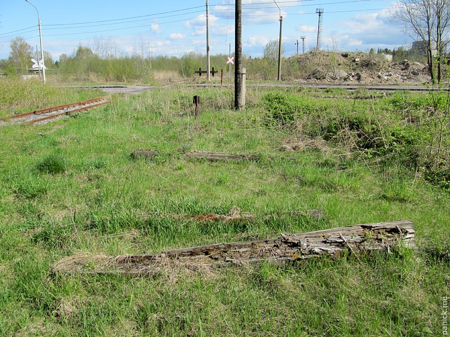 Мартышкино/Ораниенбаум, мишенное поле