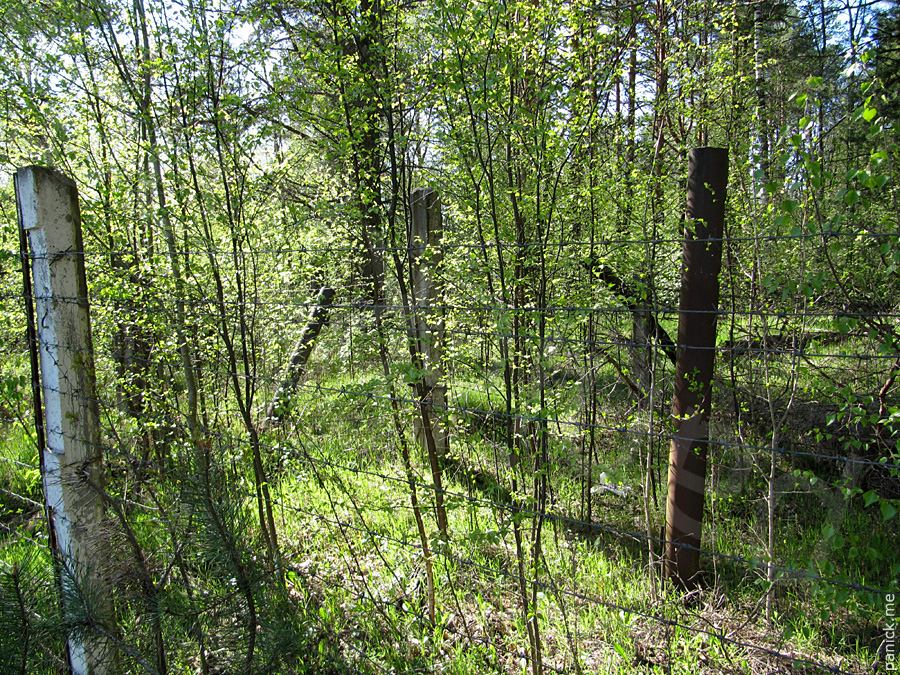 Мартышкино/Ораниенбаум, мишенное поле