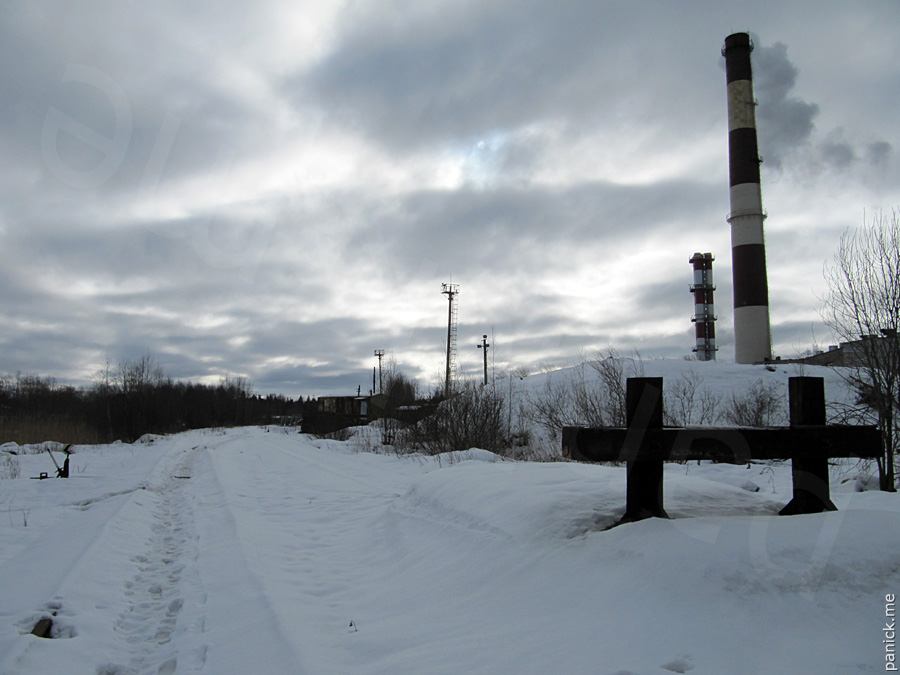 Мартышкино, подъездной путь