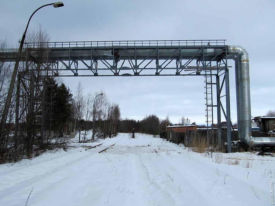 Мартышкино