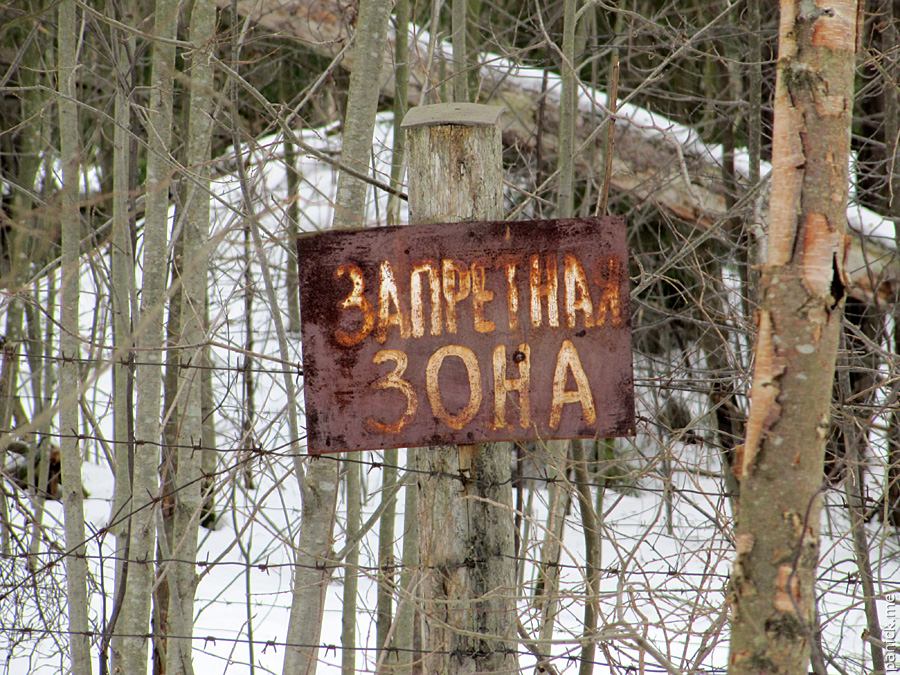 Мартышкино, в/ч