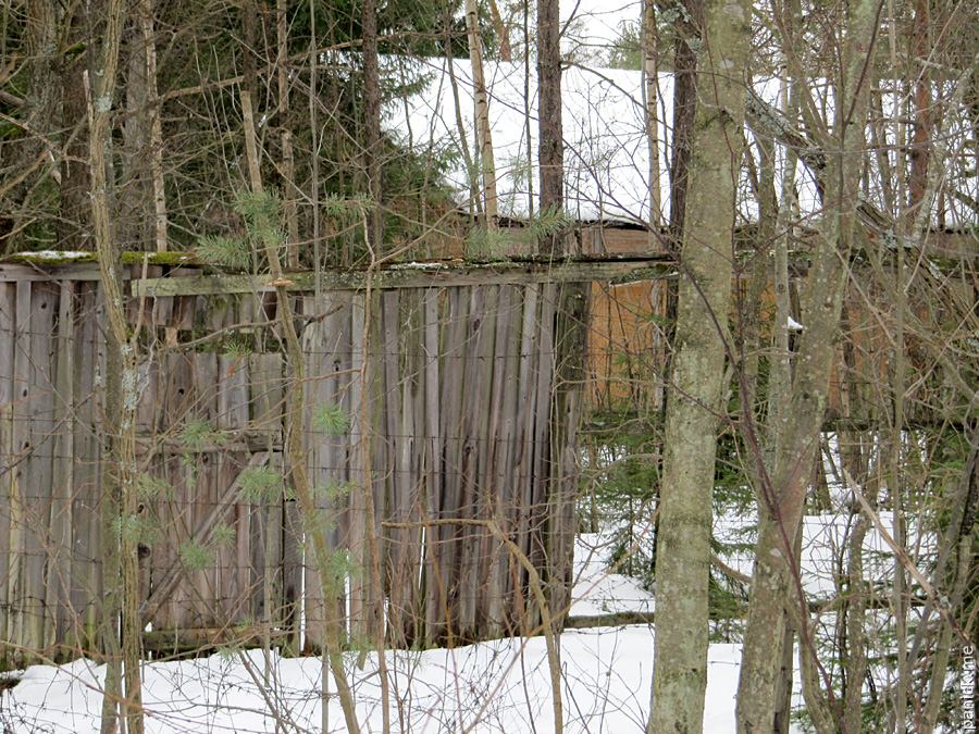 Мартышкино: военная станция