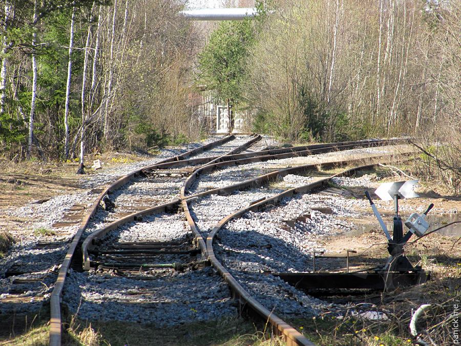 Мартышкино