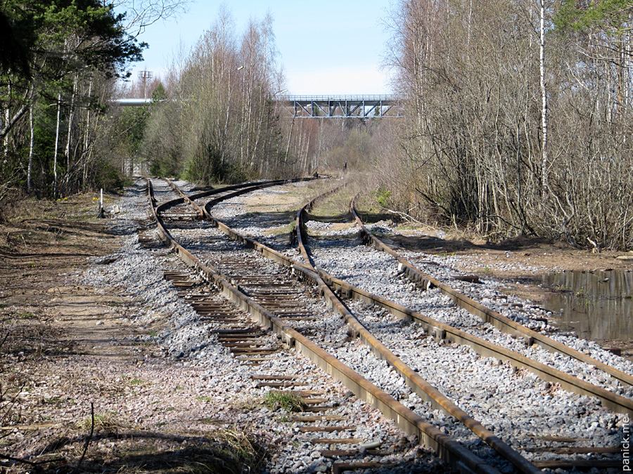 Мартышкино