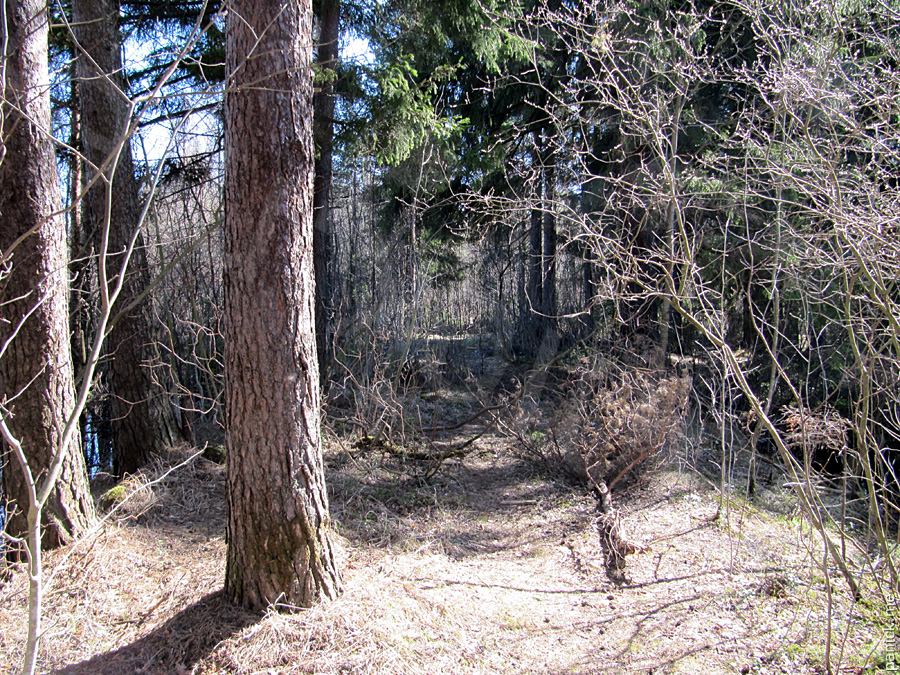 Мартышкино