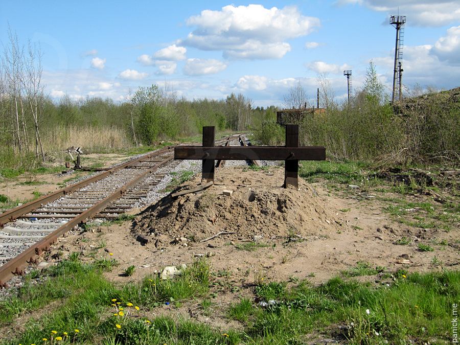 Мартышкино, подъездной путь