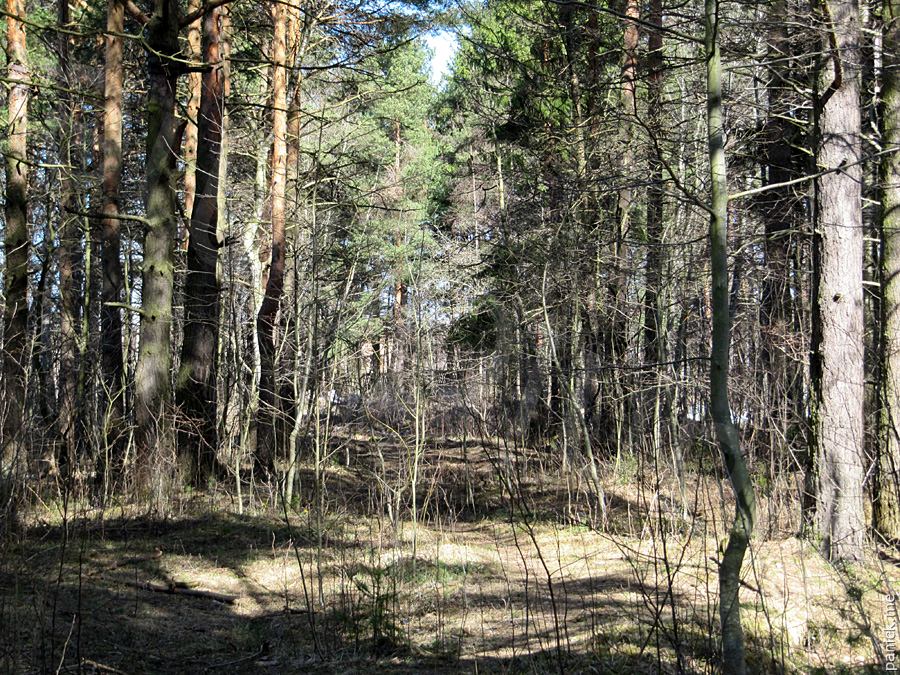 Мартышкино Мартышкино