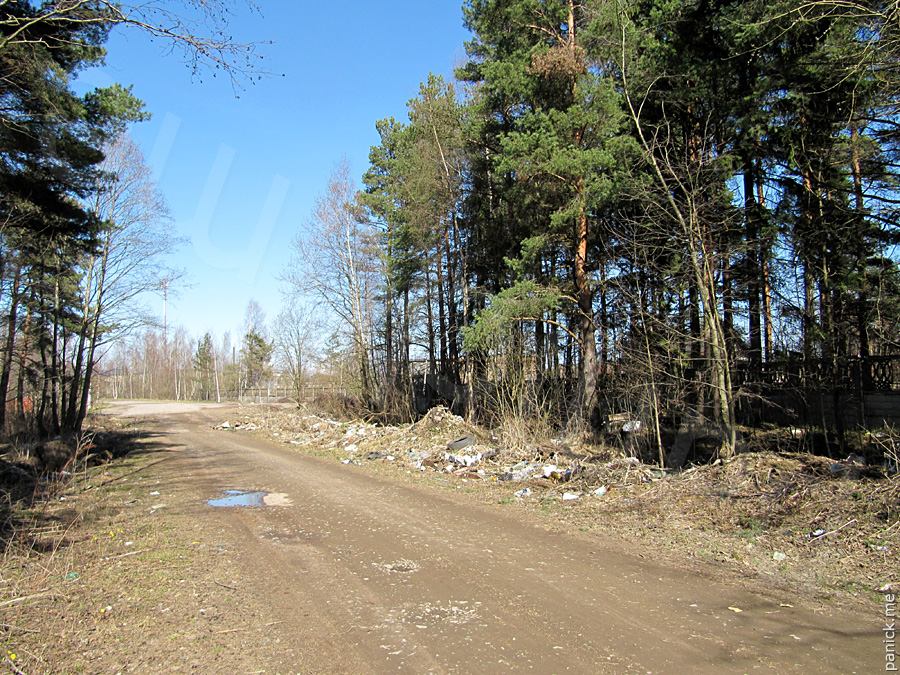 Мартышкино Мартышкино