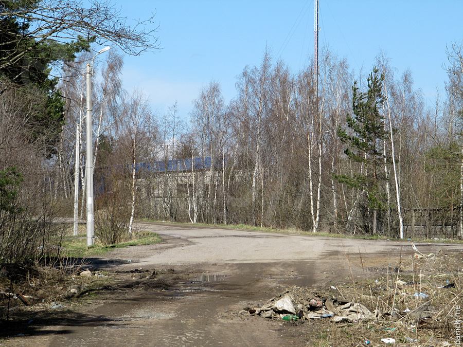 Мартышкино Мартышкино