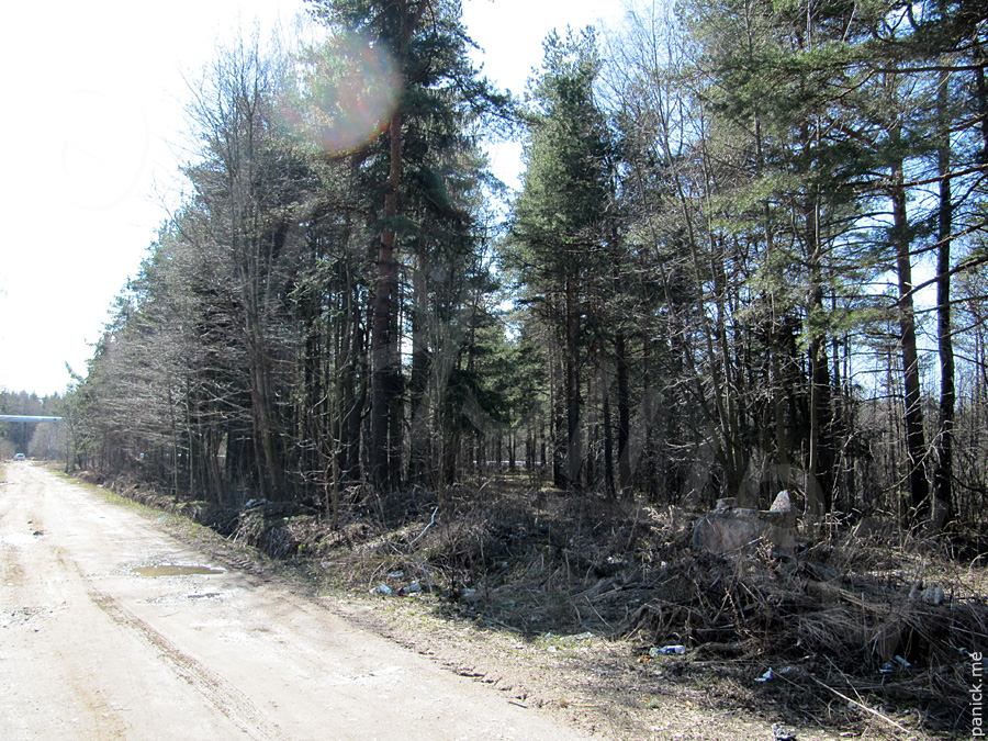 Мартышкино