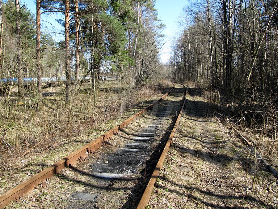 Мартышкино Мартышкино