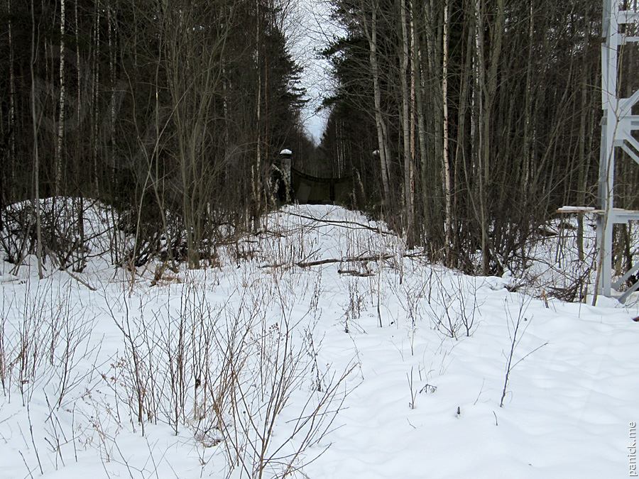 Мартышкино