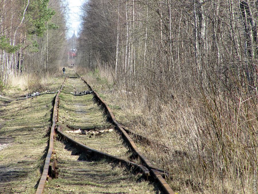 Мартышкино