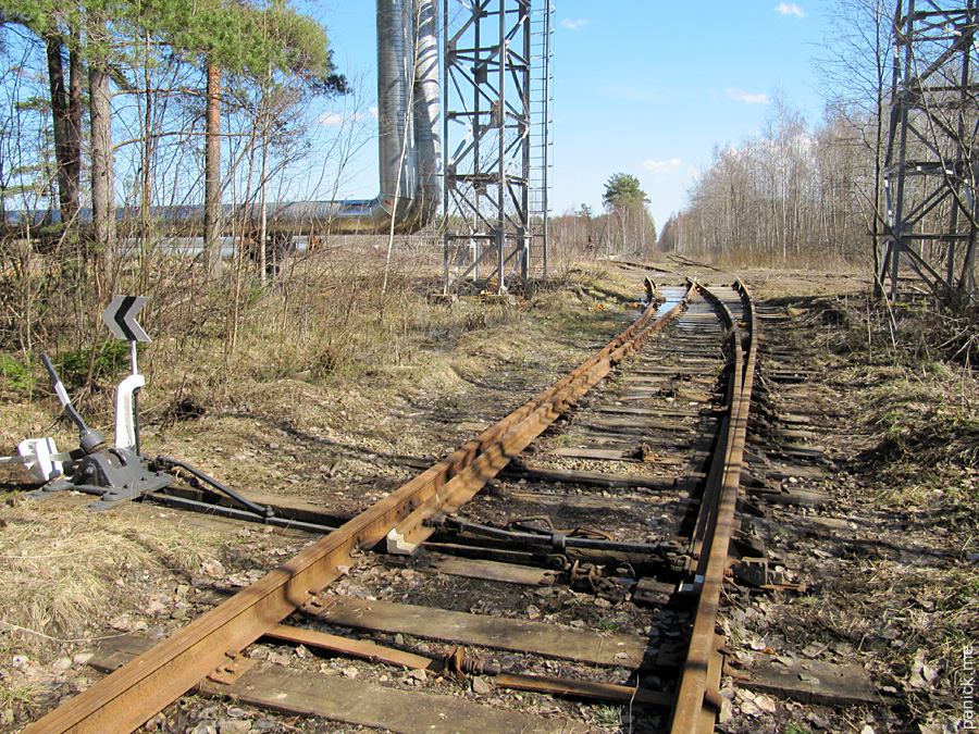 Мартышкино