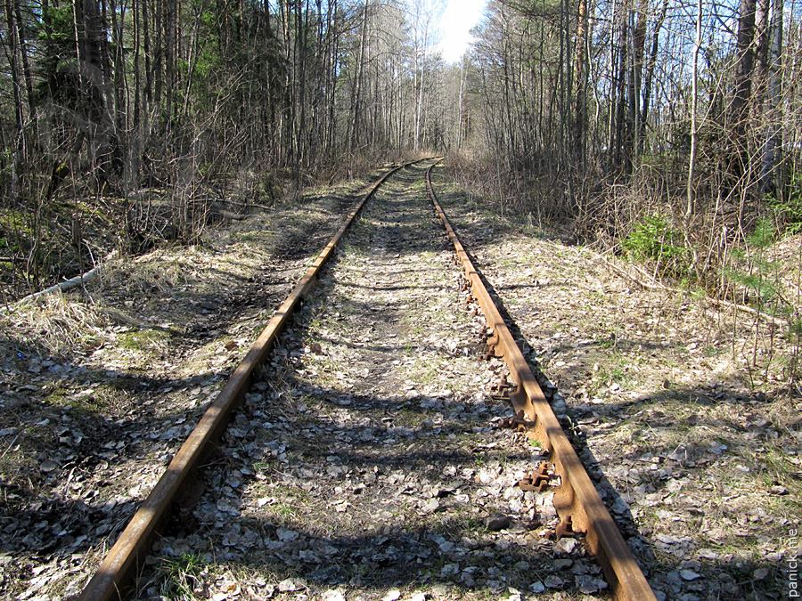 Мартышкино