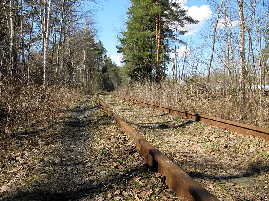 Мартышкино