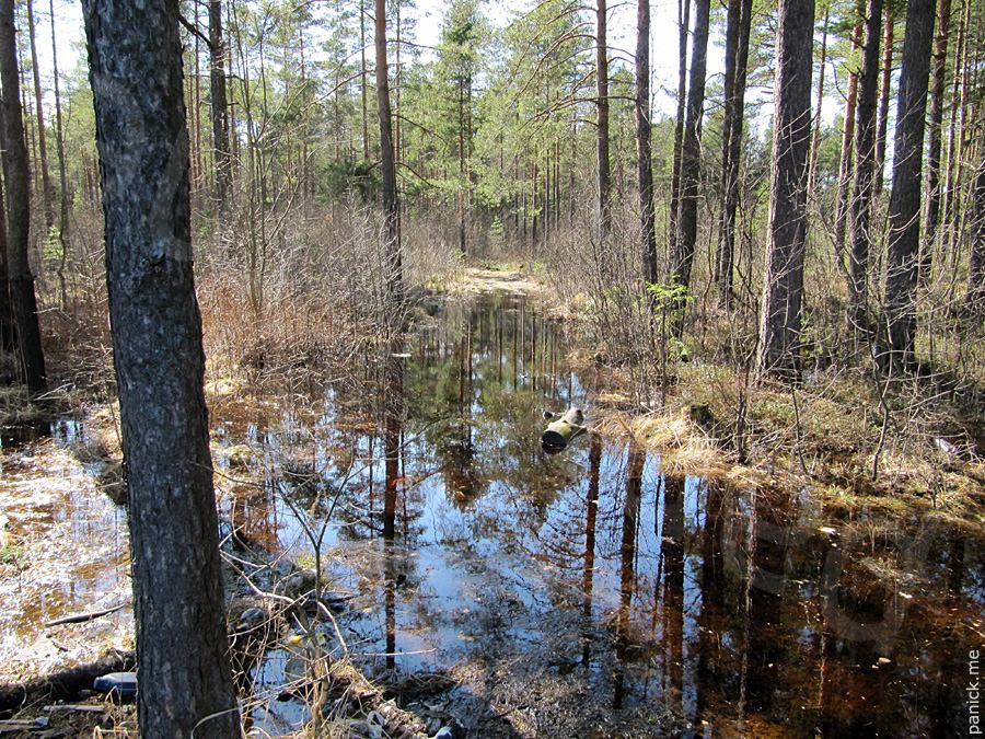 Мартышкино