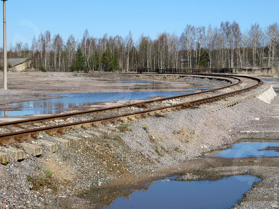 Мартышкино