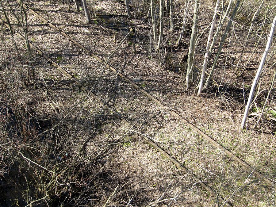 Мартышкино