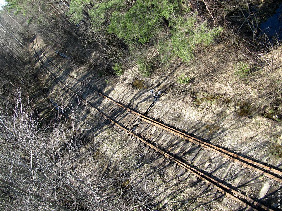 Мартышкино