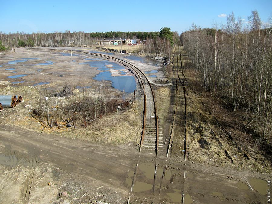 Мартышкино