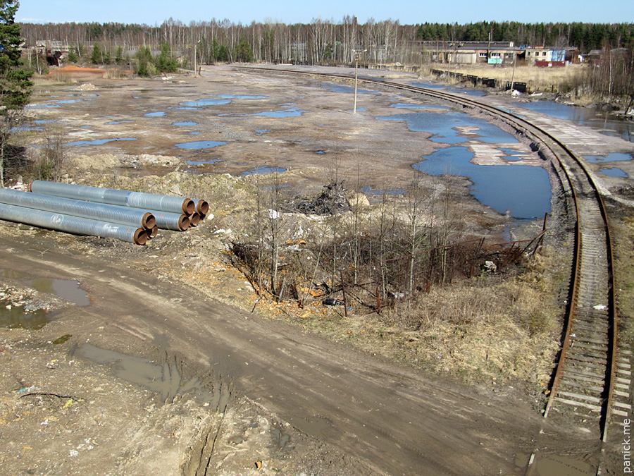 Мартышкино