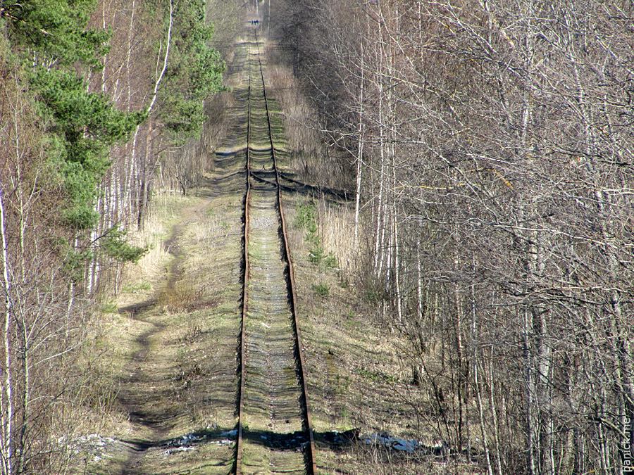 Мартышкино