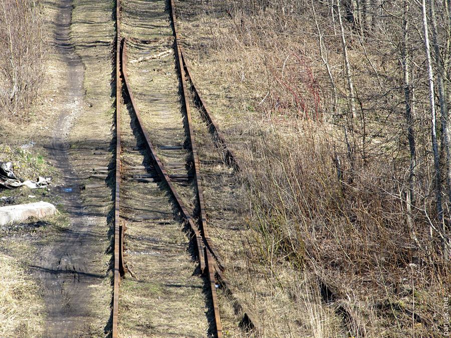 Мартышкино