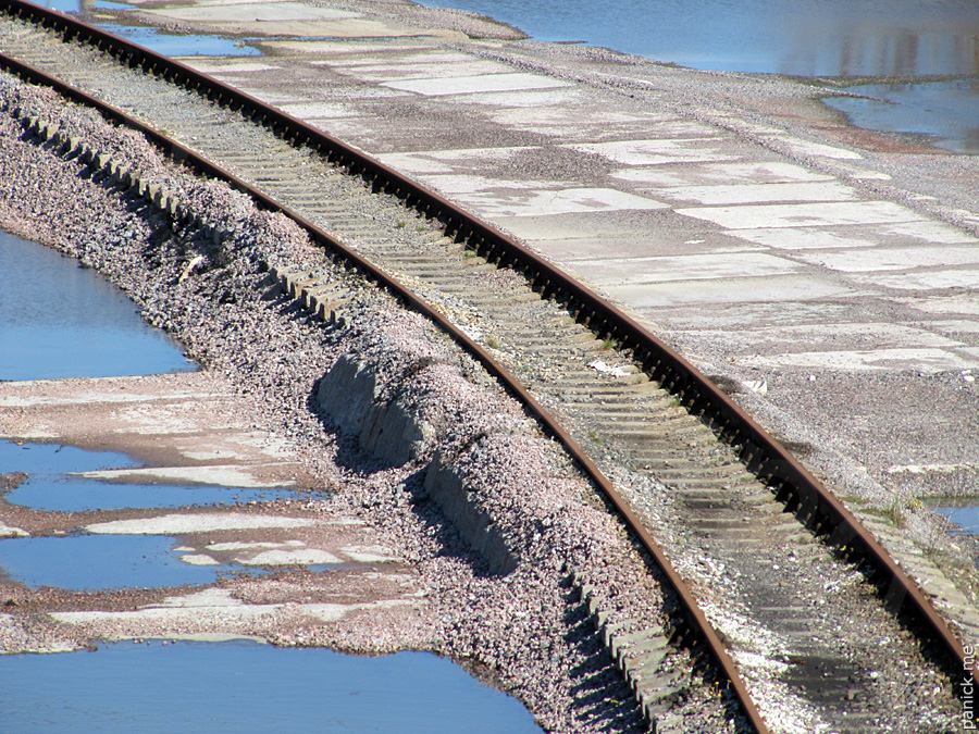 Мартышкино