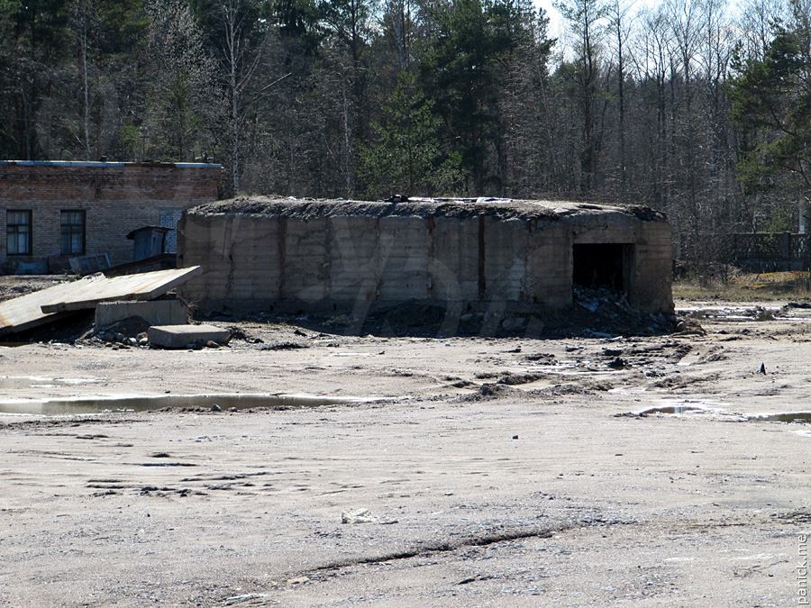 Мартышкино