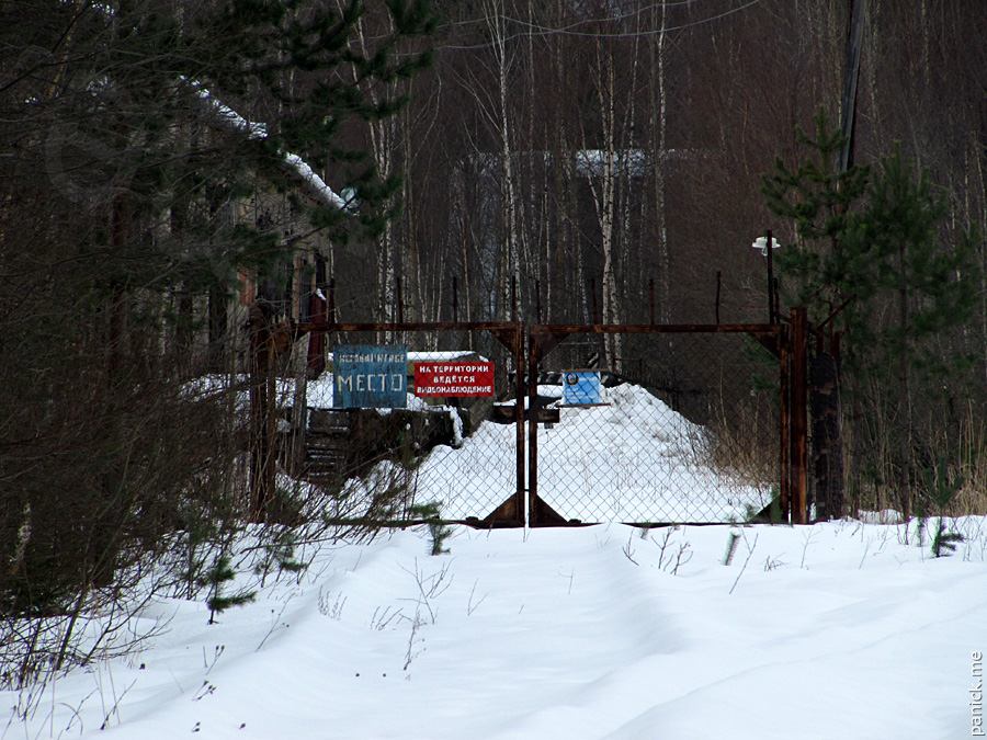 Мартышкино, подъездной путь