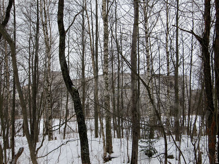 Мартышкино, подъездной путь Мартышкино, подъездной путь