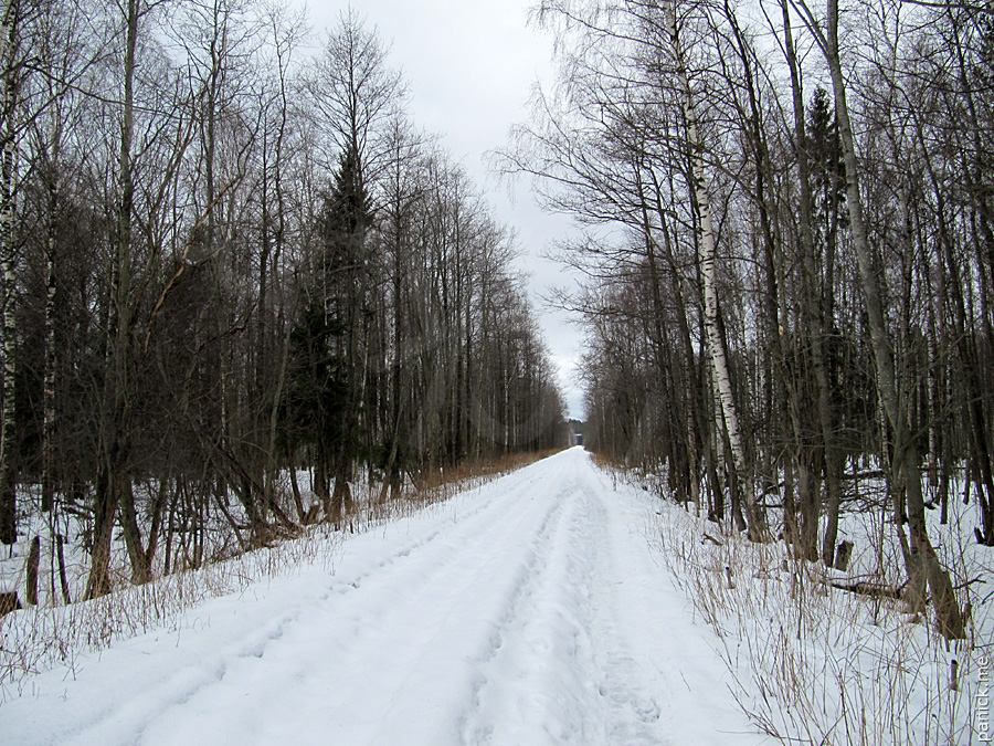 Мартышкино, подъездной путь Мартышкино, подъездной путь