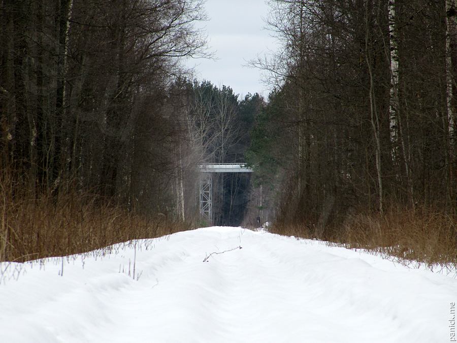 Мартышкино, подъездной путь Мартышкино, подъездной путь