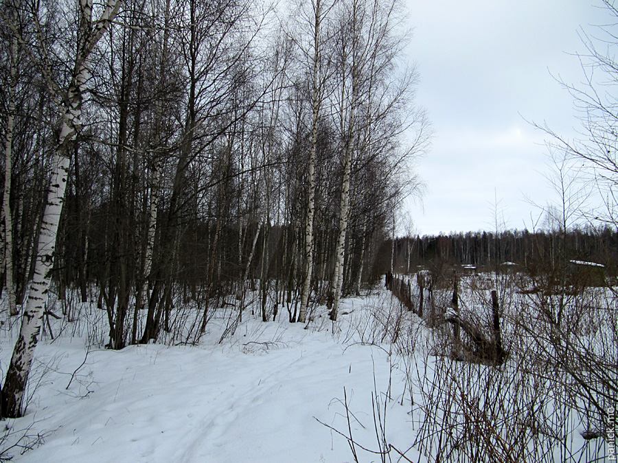 Мартышкино, подъездной путь Мартышкино, подъездной путь